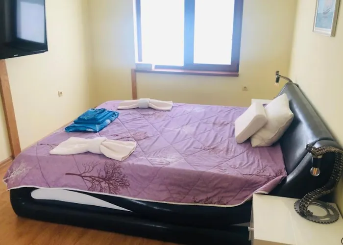 сънрайз данаилов