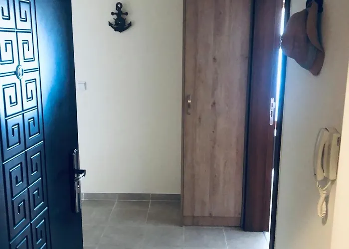 сънрайз данаилов * 奥布佐尔