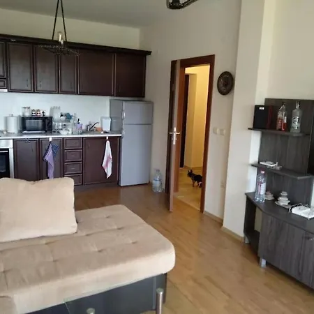 сънрайз данаилов * Obzor