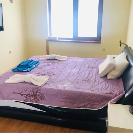 сънрайз данаилов