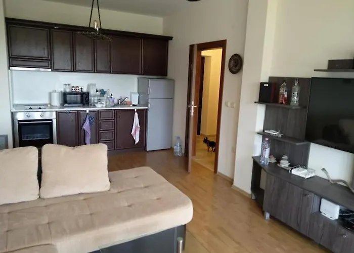 сънрайз данаилов * Обзор